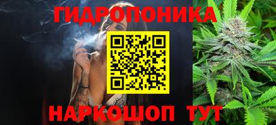 кокс Краснодар