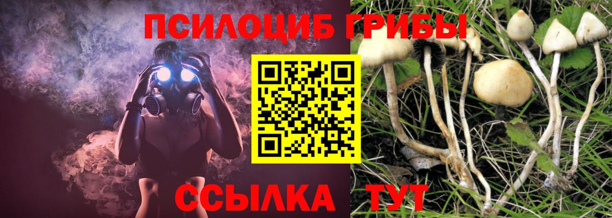 Когалым  Галлюциногенные грибы Cubensis  Вход с VPN 