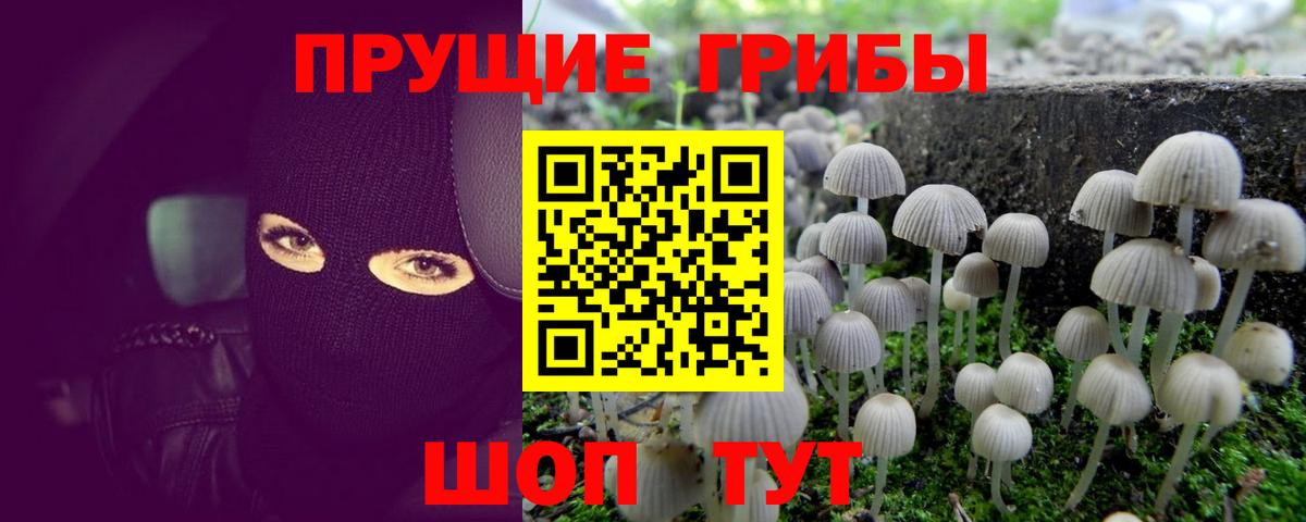 ГАШ Когалым