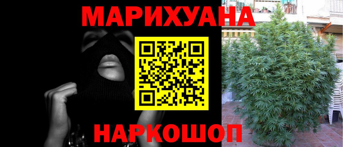 Бошки Шишки марихуана Когалым